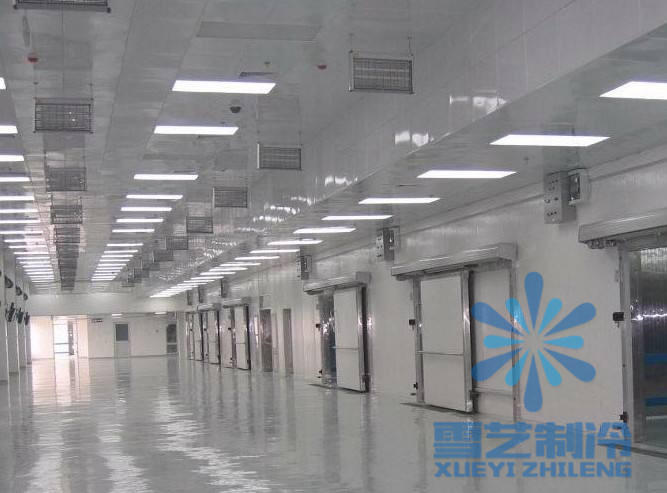   1000噸速凍冷庫價格多少錢？冷庫造價，1000噸速凍冷庫
