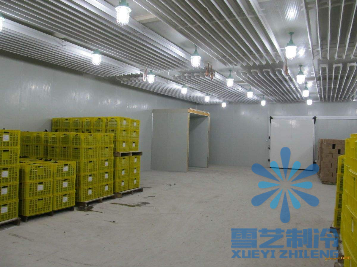 600立方氣調(diào)保鮮冷庫(kù)設(shè)計(jì)安裝，氣調(diào)保鮮冷庫(kù)