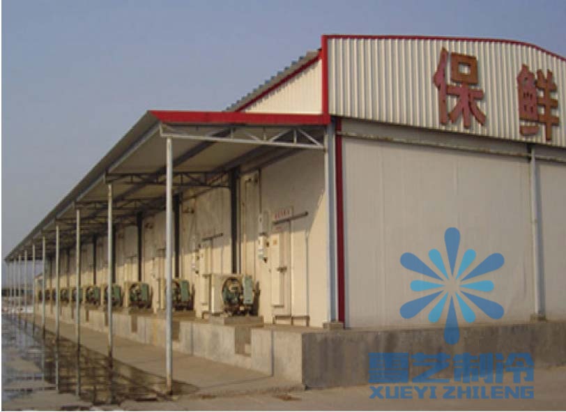 香蕉冷庫設(shè)計(jì)安裝，香蕉冷庫建造須知