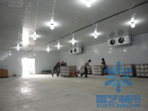 冷庫多少錢一立方？冷庫怎樣計算價格？建冷庫需要什么條件？