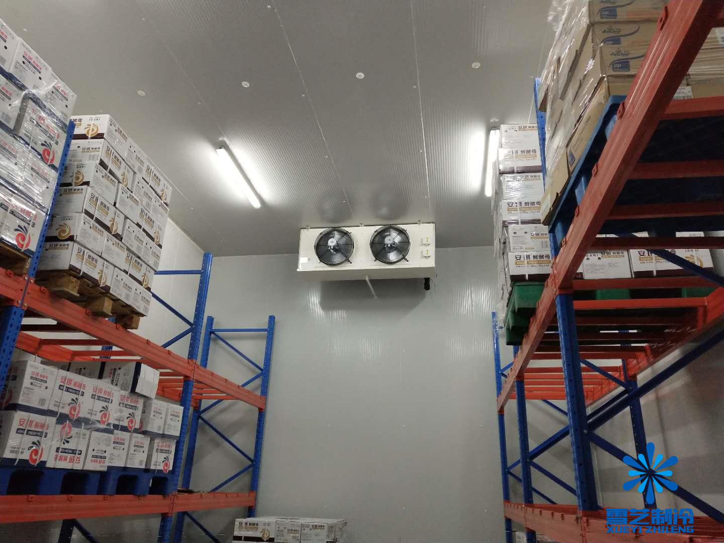 酵母冷庫，雪藝制冷建造