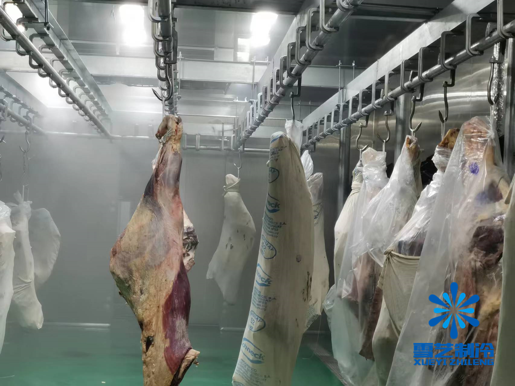 緩化庫，肉類解凍冷庫115.jpg
