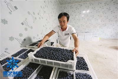 藍(lán)莓冷庫