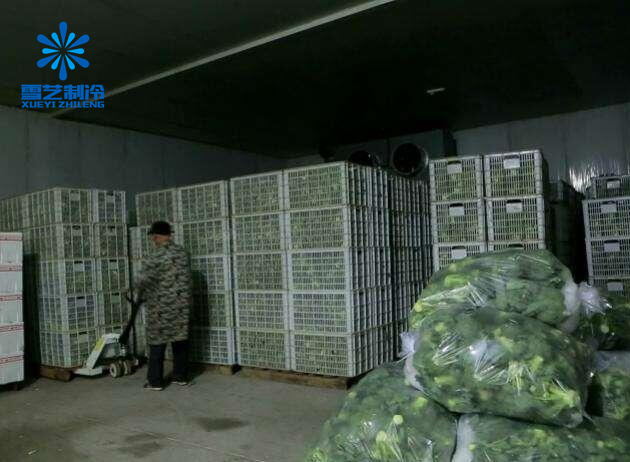 蔬菜保鮮冷庫設(shè)備方案