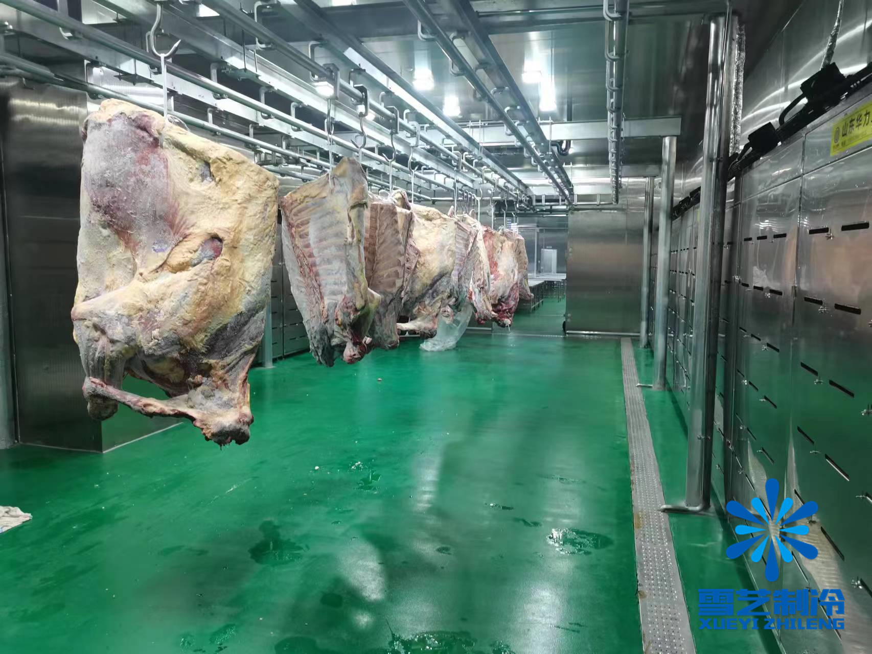 緩化庫，肉類解凍冷庫2.jpg