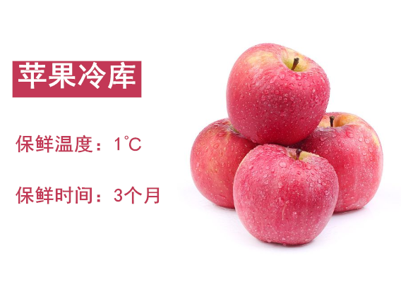 蘋(píng)果冷庫(kù)