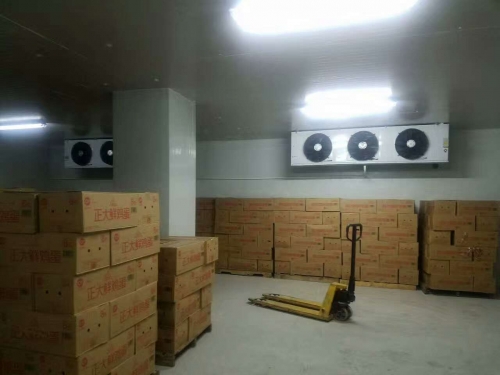上海祥和食品有限公司雞蛋保鮮冷庫(kù)安裝