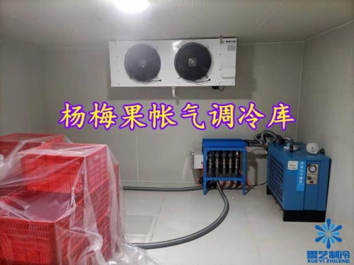 孫家楊梅基地新型果帳氣調(diào)冷庫案例